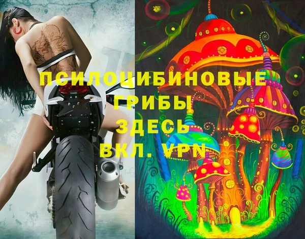 молекула духа Богородск