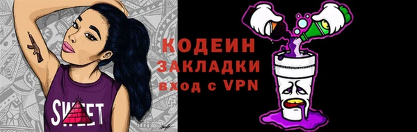 дживик Богородицк