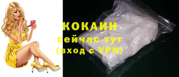 соль ск Богданович