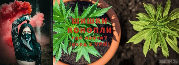 дживик Богородицк
