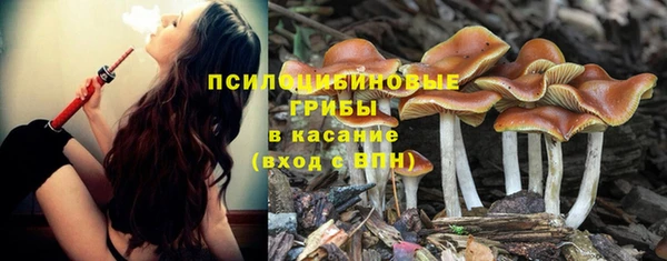 соль ск Богданович