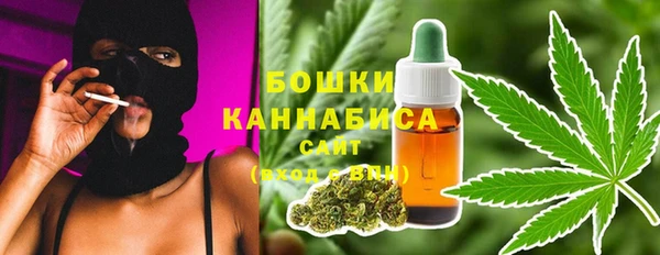 соль ск Богданович
