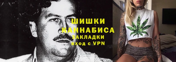 молекула духа Богородск