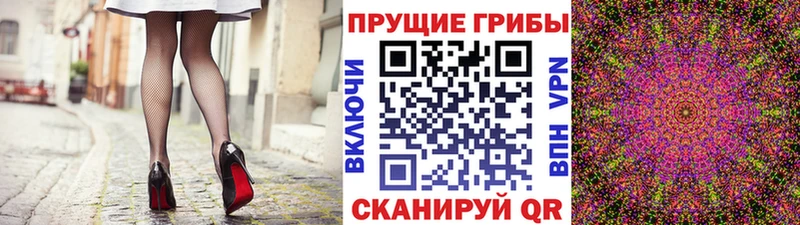 shop официальный сайт  Валдай  Галлюциногенные грибы прущие грибы 
