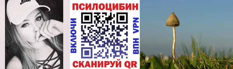 Псилоцибиновые грибы Cubensis Валдай